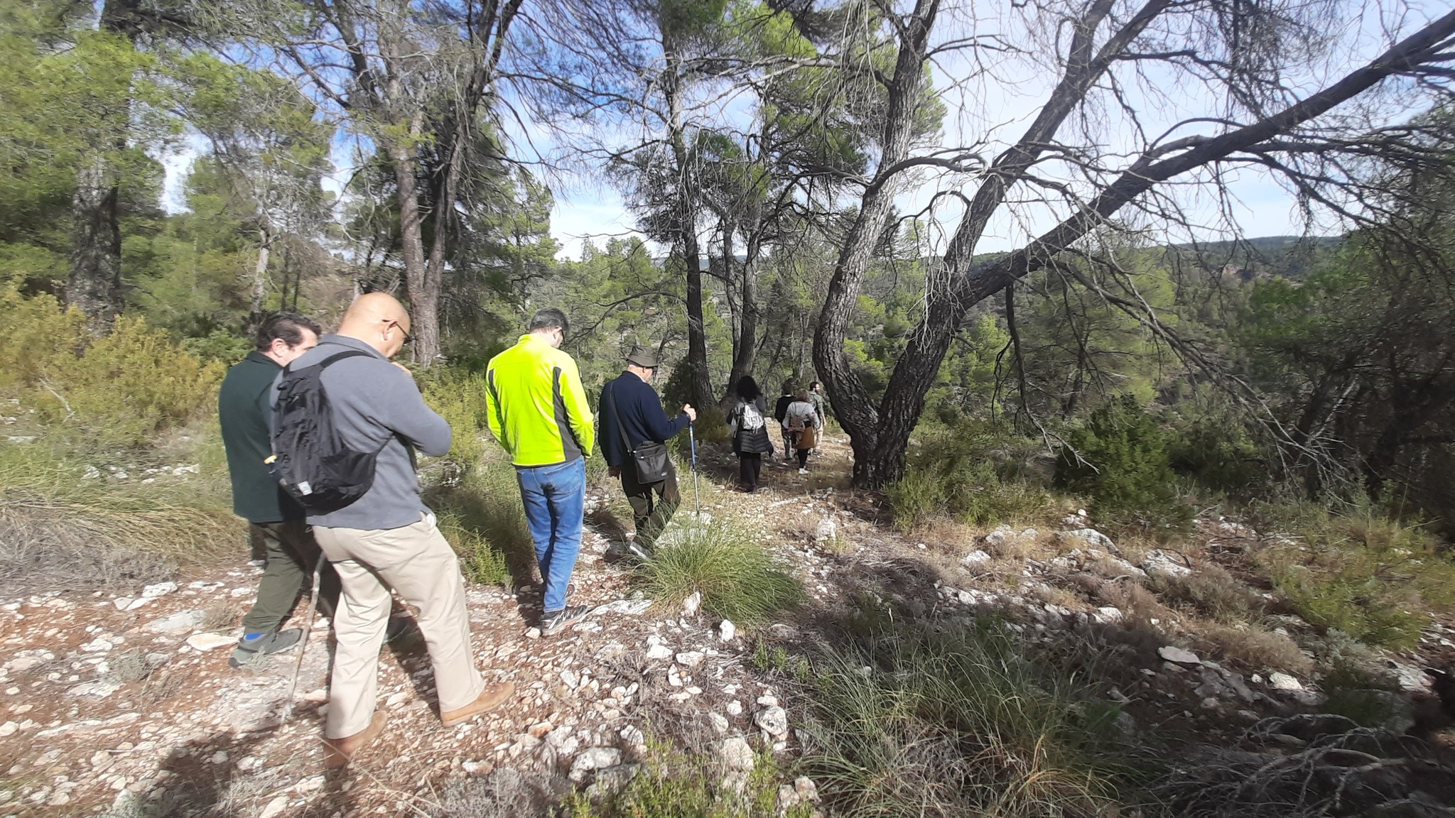 Aýna recibe la visita de miembros del Itinerario Cultural “Caminos de Arte Rupestre Prehistórico” (2)