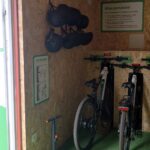 alquiler bicicletas eléctricas Aýna